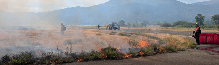 Fighting Yellow Starthistle with Fire and Community